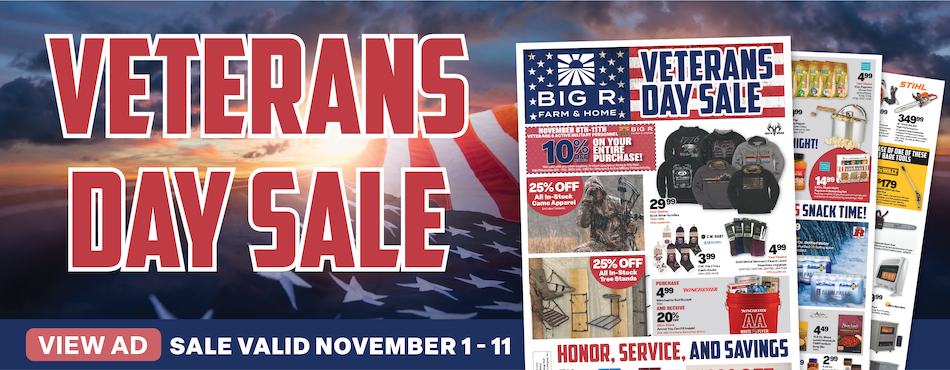 Veterans Day Sale 1