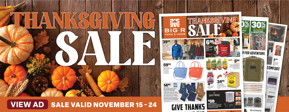 Thanksgiving Sale 1